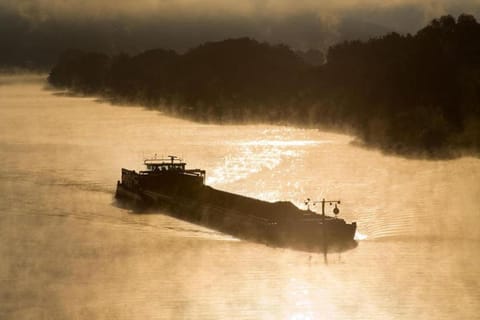 Region [summer] (&gt;5 km)