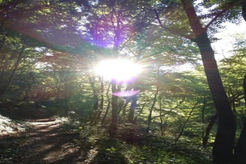 Region [summer] (&gt;5 km)