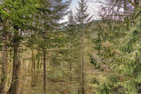 Your window to the woods! Enjoy peaceful moments and stunning views.