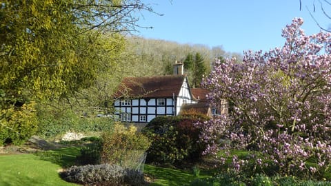 The Coppice nestles amongst woodland and mature gardens