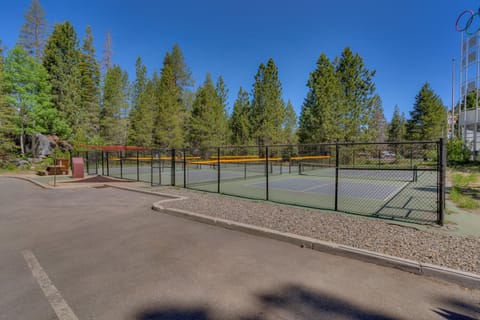 Sport court