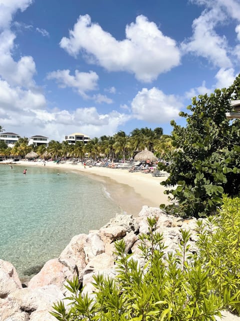 Sun loungers, beach towels