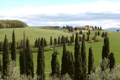 Immediate Surroundings [summer] (&lt;1 km)