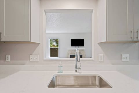 Kitchen sink with serving counter