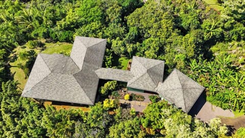 House in the jungle - Overhead shot of the house.