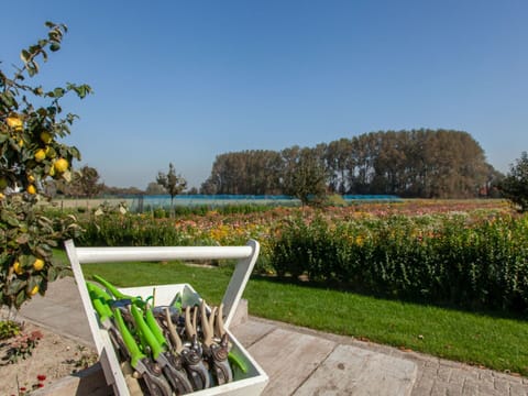 Shrub, Garden, Plantation, Agriculture, Lawn, Field, Herbaceous Plant, Landscaping, Farm