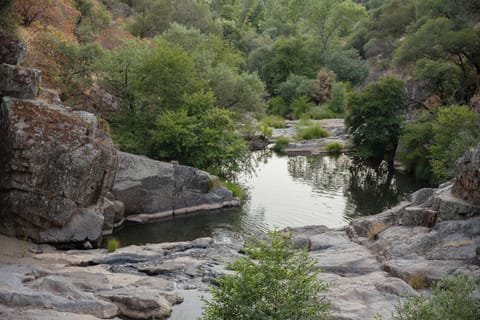 Private 12 ft deep Swimming Hole!