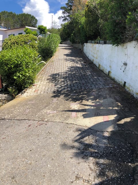 Dal parcheggio si sale verso la palazzina