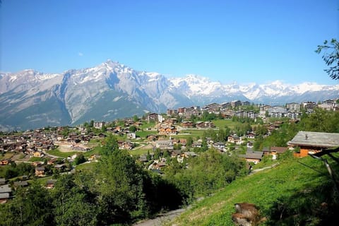 Immediate Surroundings [summer] (&lt;1 km)