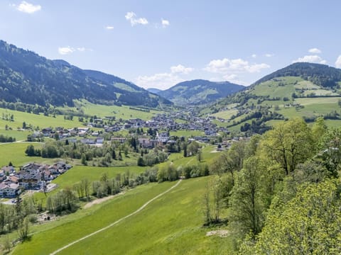 Immediate Surroundings [summer] (&lt;1 km)