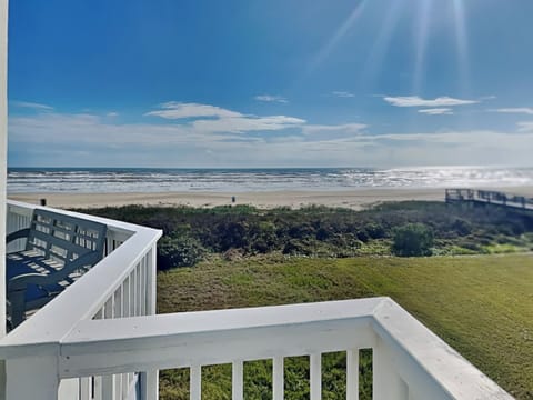 Welcome to Beachfront Dolphin