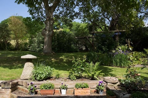 The garden at St Anne's B and B
