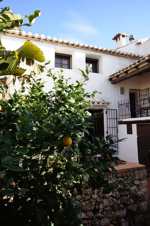 Bottom Terrace