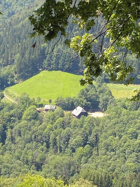 Die Lage inmitten unberührter Natur bietet eine einzigartige Ruhe und Abgeschiedenheit. Umgeben von dichten Wäldern und malerischen Hügeln können Sie die pure Schönheit des Schwarzwaldes genießen – der perfekte Ort für Entspannung und Erholung.