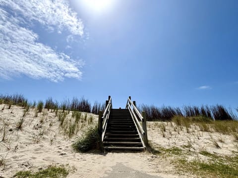 Blue, Horizon, Landscape, Handrail, Morning, Sand, Sunlight, Sea, Stairs, Fence