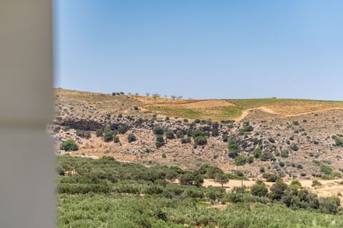 Outdoor, Scenic View