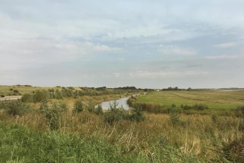 Region [summer] (>5 km)