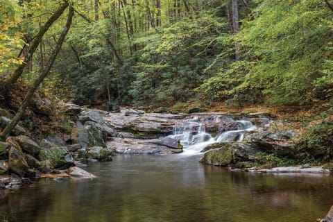 Club Wyndham Smoky Mountains_29.jpg