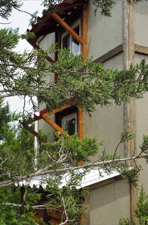 Pine Tiny House (1)