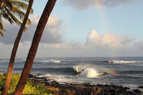 Catch surfers riding waves along Lawai Road's picturesque coastline.