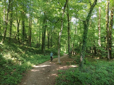 Voie verte La Veloscenie (Paris - Mont Saint Michel) près de Mortain