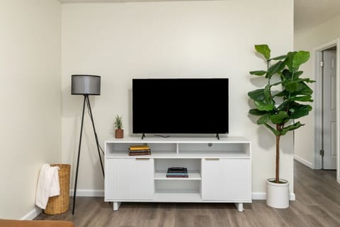 Smart TV in Spacious Living Room