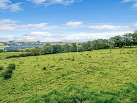 Surrounding area | Hygge Cabin - Hadrian&rsquo;s Garden, Hexham