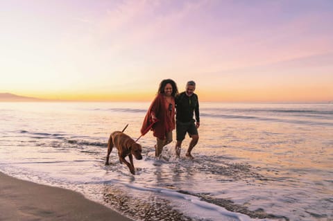 It will only take a short walk to reach the sand to enjoy the surf, the sunsets, the breezes and ocean air.  Come, stay and relax!