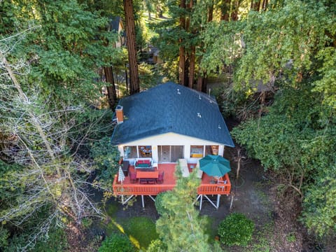 Aunt Ginny's is nestled amongst the redwood trees.