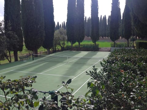Sport court