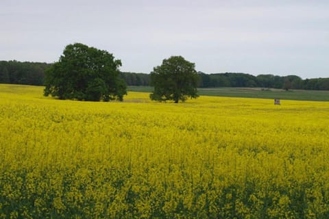 Surroundings [summer] (1-5 km)