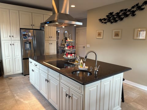 Kitchen island, cooktop and small sink.