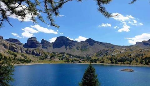 Region [summer] (&gt;5 km)