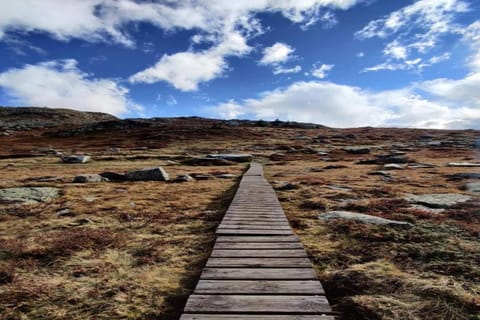 Region [summer] (&gt;5 km)