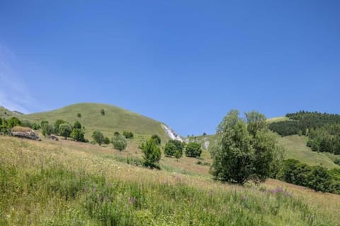 Region [summer] (&gt;5 km)