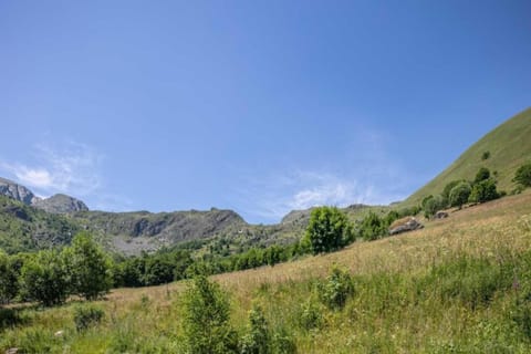 Region [summer] (&gt;5 km)