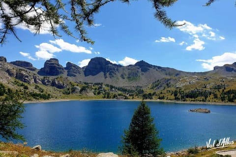 Region [summer] (&gt;5 km)