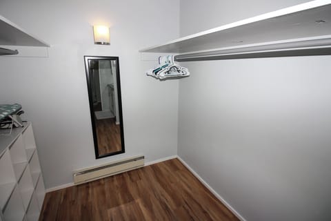 Master Walkin closet