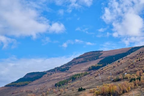 Region [summer] (&gt;5 km)