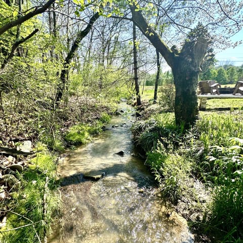 A charming creek flows beside the fire pit. A perfect place to unwind.