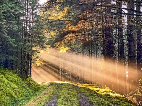 Surrounding area | The Old Barn, Colintraive, near Tighnabruaich