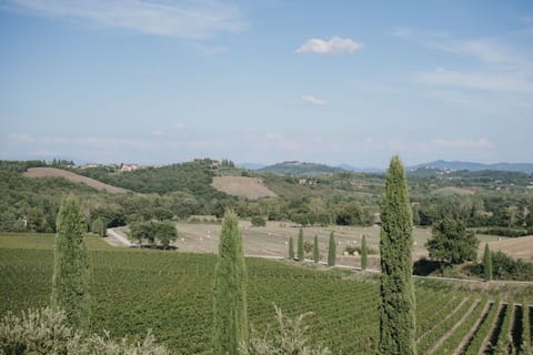 Activities, Balcony / Terrace / Patio, Building Exterior, City, Facilities, Garden, Kitchen, Pool, Spring, Summer, Wellness