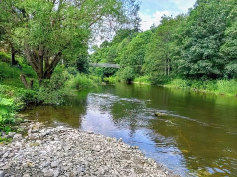 Surrounding area | The Hive, Hawick