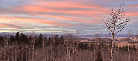 View from south side of home.
