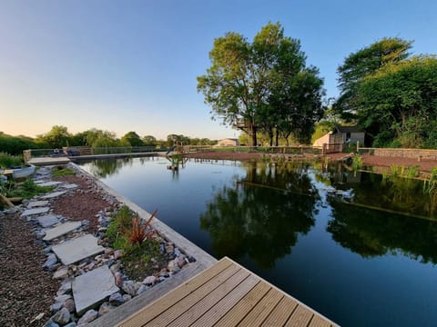 Private Outdoor Pool 