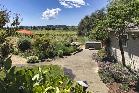 Backyard Vineyard Views