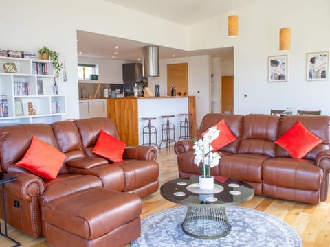 Furniture, Interior Design, Couch, Flooring, Wood, Floor, Room, Living Room, Ceiling, Apartment