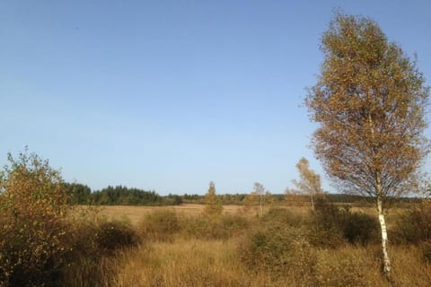 Surroundings [summer] (1-5 km)