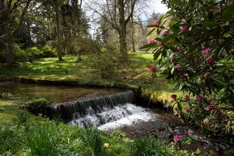 Honeysuckle Cottage - enjoy the beauty of the woodlands of nearby Kailzie Gardens