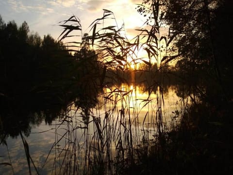 Region [summer] (>5 km)